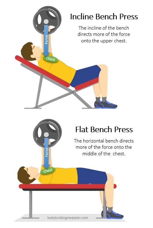 Incline Bench vs. Flat Bench – Which is better?